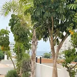 Tonia Seaview