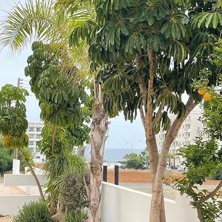 Tonia Seaview